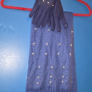 Elegant Blue Scarf and Glove Set